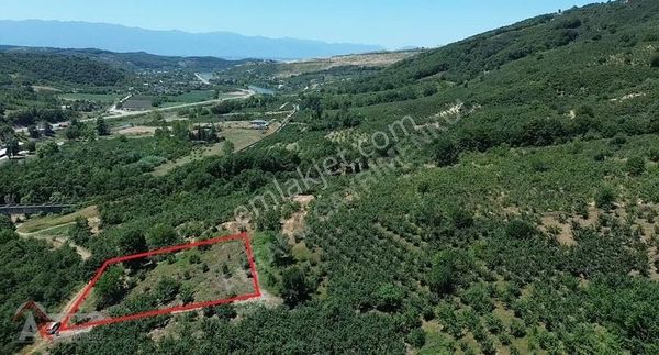 Aktapu'dan Nasırlı Köyünde 1.795m2 Bungalov'luk Satılık Tarla