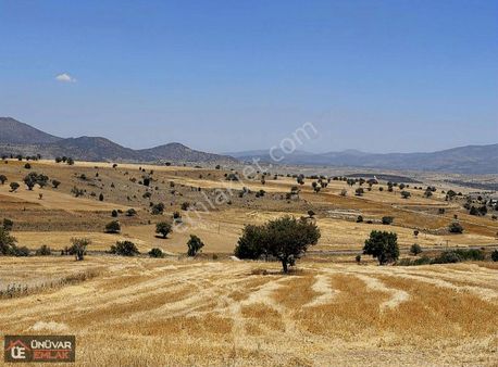 Ünüvar Emlak'tan Gökçimen Mh Acilll Satılık Hesaplı Fırsat Tarla