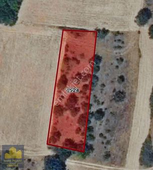 Edirne Uzunköprü'de Satılık 1.400m2 Tek Tapu Tarla