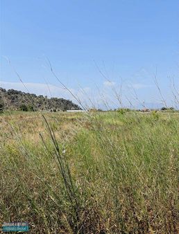 Muğla Ortaca Tepearası Mahallesinde Satılık Tarla