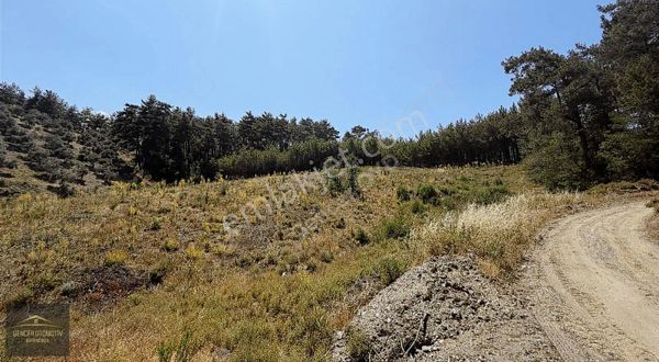 Muğla Algı Mahallesinde Doğa İle İç İçe Yolu Açık Tarla