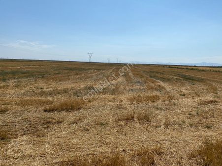 Acıdort'ta Aksaray Yoluna Yakın 19.598 M Müstakil Parsel