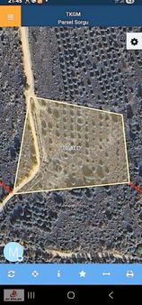 Ay Emlak'tan Armutlu Hayriye Köyünde Yolu Olan 9.836 M2 Tarla