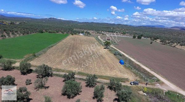 Ayvalık Su Gayrimenkul'den Satılık Tarla