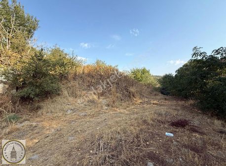 Galata,dan Koçarlı Haydarlı Mah De 470 M² Köy İçi İmarli Arsa