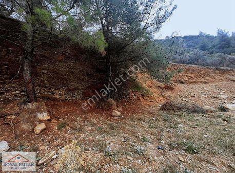 Ana Yola Sıfır!!! Ana Yola Sıfır!!!