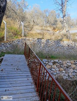 Pınarbaşı Taş Duvarlı Zeytinlik