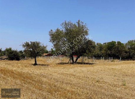 Antalya Döşemealtı Çıplaklıda Satılık Kupon Arsa