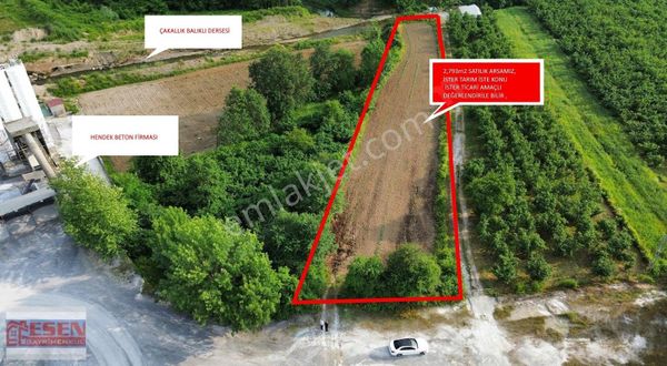 Esen Emlaktan Sakarya Hendek Çakallık Stratejik Konumda Tarla Satışa Sunuldu