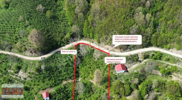 Esen Emlak'tan Sakarya Hendek Güney Mah. Uygun Fiyatıyla Fırsat Fındık Tarlası