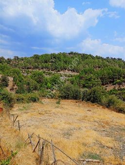 Muğla Yaylasöğüt'te Satılık Tarla