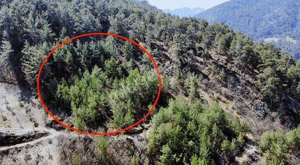 Muğla Menteşe Denizova'da Satılık Tarla