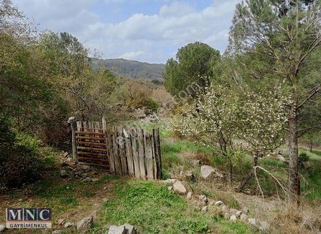 İzmir Bergama Yerli Tahtacı Sınırları İçerisinde Satılık Tarla