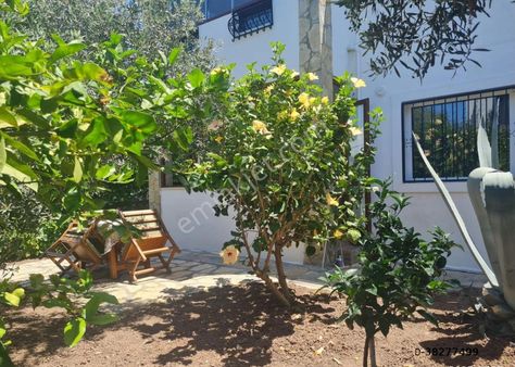 Bodrum Turgut Reis Merkezde Site İçinde Geniş Bahçe Katı