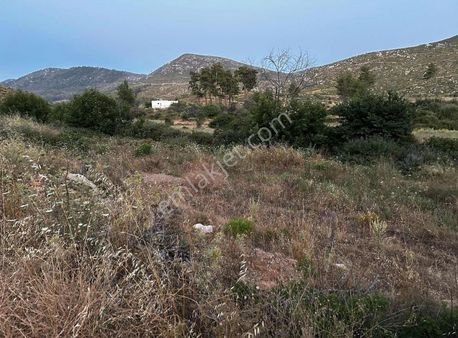 Akbaşlar'dan Bodrum Gökpınarda 1 Dönümlük Fırsat Arazi