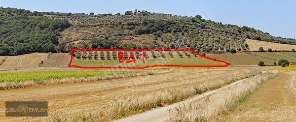 Bursa Karacabey Çavuş Mahallesinde Uygun Fiyatlı Yatırım Fırsatı