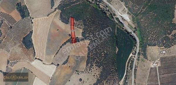 Bursa Karacabey Yeşilderede Yatırıma Uygun Kelepir Tarla