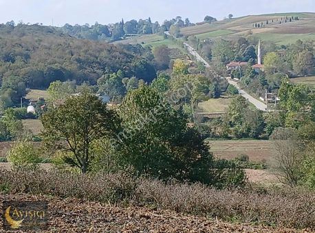 Fırsat !!! Kandıra Sarıgazi'de 2 Dönüm Tek Tapulu Satılık Tarla