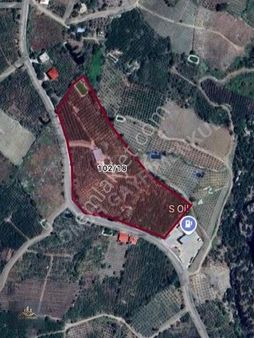 Onur Gayrimenkul'den Mezitli Tepeköy Mah Satılık Şeftali Bahçesi