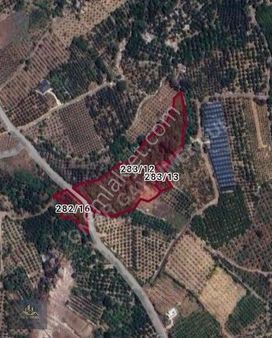 Onur Gayrimenkul'den Yenişehir Erçel Mah Satılık Yatırımlıktarla