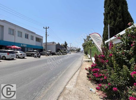 *bodrum Turgutreis *1+0 *mutfaklı *ev Ve Ofis Kullanımına Uygun