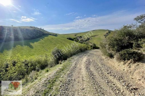 Çukurova Söğütlüde 564 M2 Tarla Yatirim Firsati