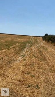 Babaeski Yeniköy De 8250 M2 31 Metre Yola Cepheli Satılık Tarla