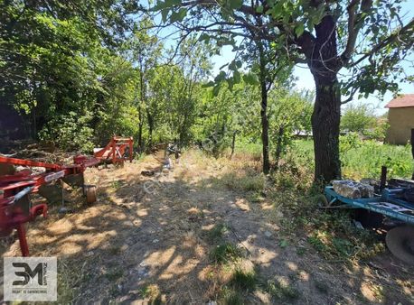 Geyve Doğancıl Doğanın İçinde 363 M2 %40 İmarlı Dümdüz Arsa