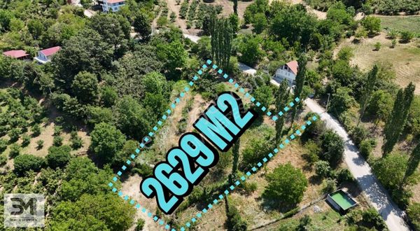 Geyve Koru 2629 M2 Asfalta Cephe 1500 M2 Si %40 İmarlı Arsa