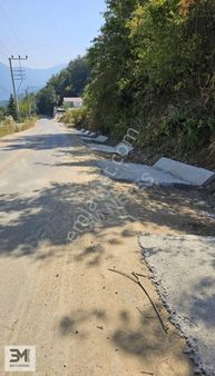 Geyve Bağcaz Asfalta Sıfır Panoramik Manzaralı 880 M2 %40 İmarlı