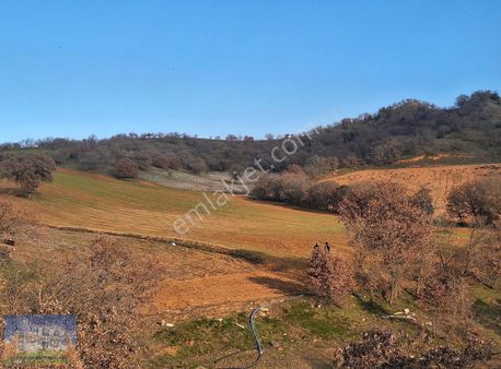 Uşak Eşme Yeleğen Kasabasında 26240m2 Satılık Arazi
