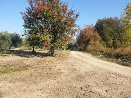 Bursa Mudanya Ülküköyde Satılık Tarla