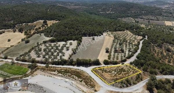 Satılık Manzaralı Köşe Tarla 1.627 M2