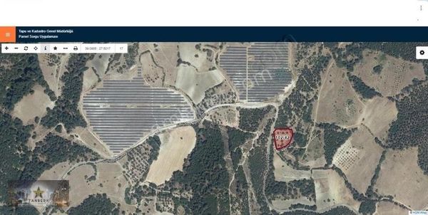 Satılık Zeytinli Tarla Arpaseki De 2517 M2 Yolu Var