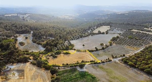 ^^tanberk Den Satılık Tarla Çiftlikköy De 6002 M2^^