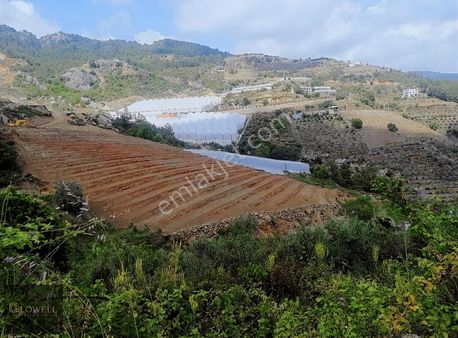 Antalya Alanya Toslak 9326 M2 Satılık Tarım Arazisi