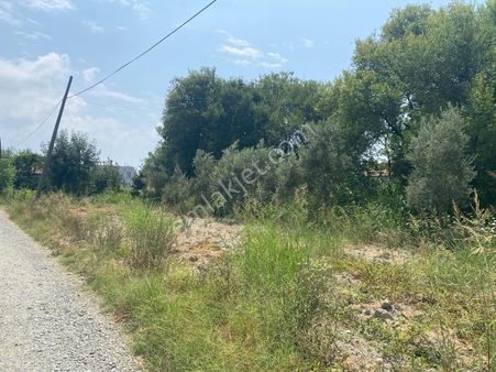 Eray Emlaktan Ortaca Akıncıda 1225m2 Tek Tapu Satılık Tarla