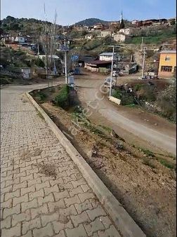 İzmir Torbalı Gold Emlaktan Satılık Zeytin Bahçesi