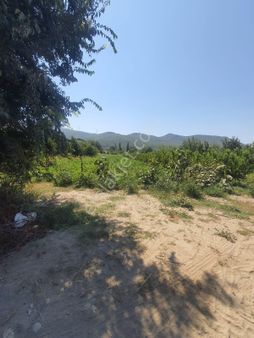 Kirazlı Köyü'nde Hem Yatırım Hem Kafa Dinlemek İster Misiniz?