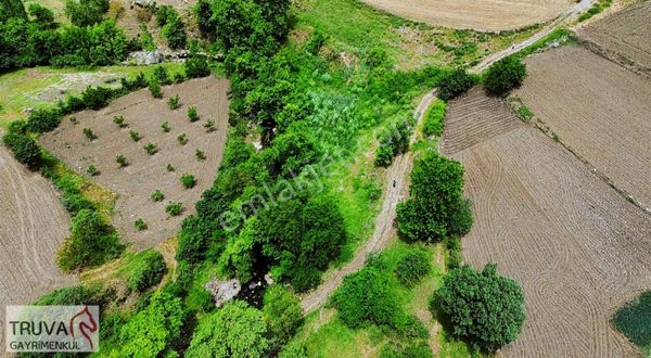 Sındırgı Büyükdağdere De 1.177m2 Dere Kenarı Elektrik Su Var