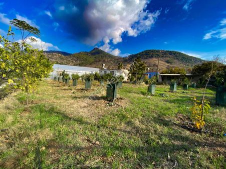 Mersin Anamur Satılık Müstakil Arsa