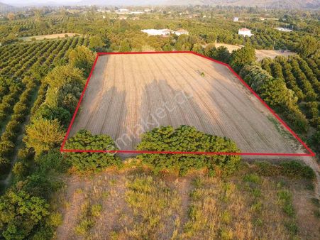 Eray Emlaktan Köyceğiz Kavakarasında 11 Dönüm Satılık Tarla