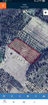 Satılık Gemlik Cinsi Zeytin Bahçesi Yatırımlık Fırsat