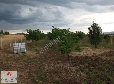 Çubuk Ovacık Mahallesi Satılık Ceviz Bahçesi
