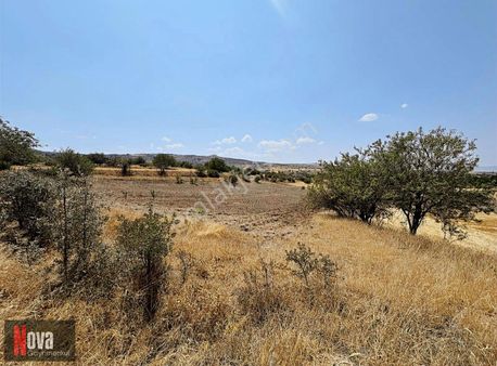 Nova Gayrimenkul Kahramankazan'dan Sancar Mevkinde Tek Tapu