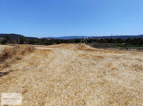 Çanakkale Çan Durali Köyünde Köye Yakın Satılık Tarla