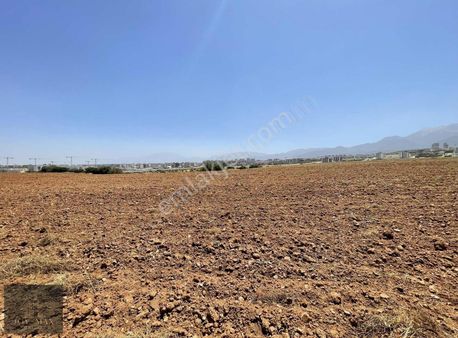 Joy/max'tan 120 Dairelik Bölge Hastahanesi Karşısı Ticari+konut