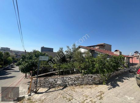 Joy/max Gayrimenkulden Müstakil Bahçeli Ev