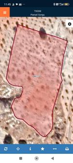 Nizip Kıratlıda Satılık Tek Tapu Fıstık Tarlası