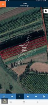 Siz Değerli Yatirimcilarimiz İçin Kaçırılmayacak Firsat